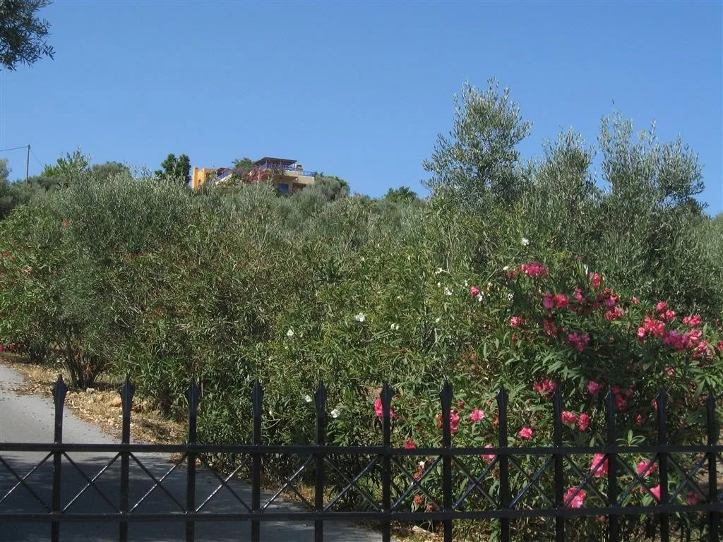 Sisi crete 195